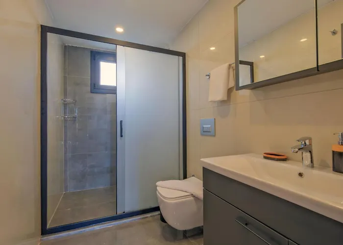 公寓 Ader Doga Villalari 3 费特希耶